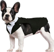 Haustier Smoking Anzug Bandana Set Hundeanzug Hochzeit Schwarz