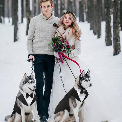 Kuoser Hund Smoking Anzug Bandana Set Schwarz S-XXL 35 cm