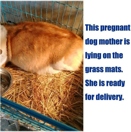 Grasmatte Kaninchen Meerschweinchen Chinchilla Hamster 4er Set