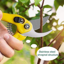 Bonsai Werkzeug Kit 13 teilig Scheren Draht Mini Werkzeuge