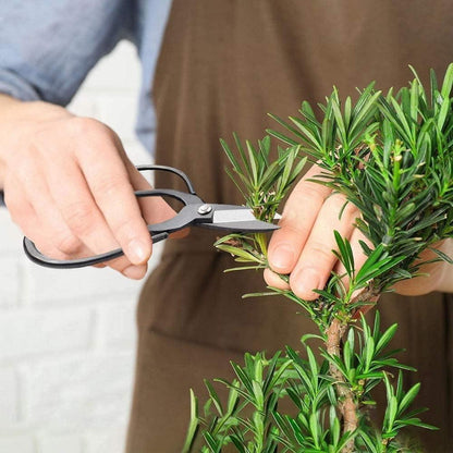 Bonsai Werkzeug Kit 13 teilig Scheren Draht Mini Werkzeuge
