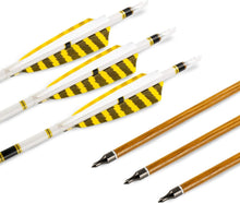 12er Carbonpfeile 31 Zoll Bogenpfeile für Bogenschießen