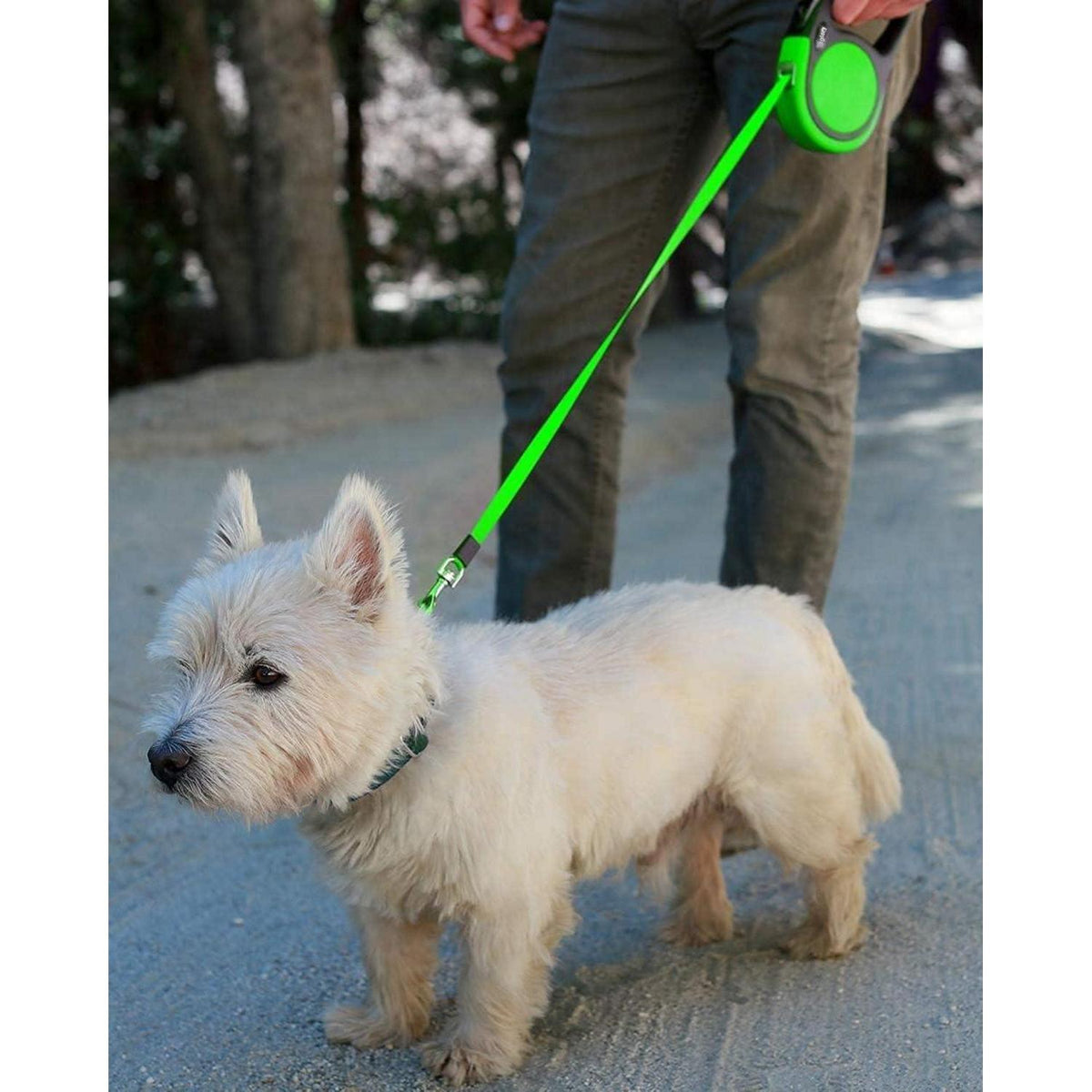 Rollleine für Hunde bis 20kg, Grün, 5m