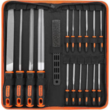 18-tlg. Feilenset Metall und Holz mit Tragetasche, Profi