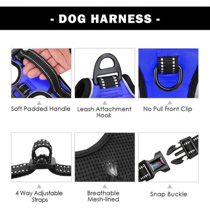 PHOEPET Anti-Zieh-Hundegeschirr Königsblau XS