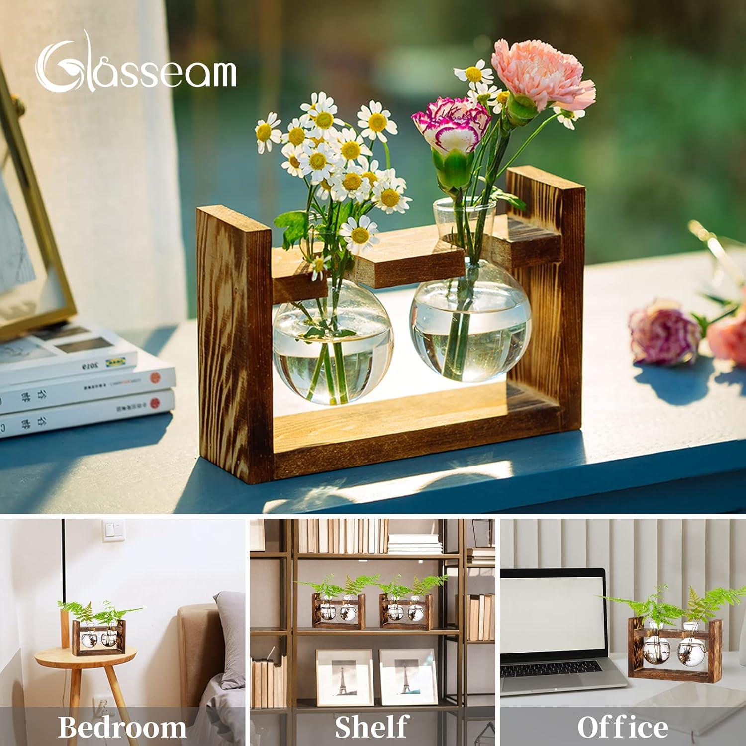 Glas-Terrarium Pflanzgefäß Holzregal 2 Stück Avocado Vase Eichel Vase