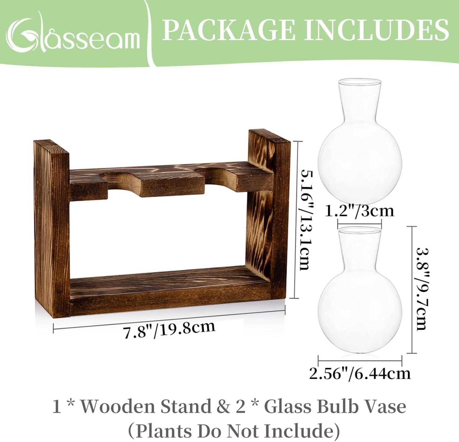 Vermehrungsstation Set Avocado Glasvase Holzregal für Pflanzen Eco