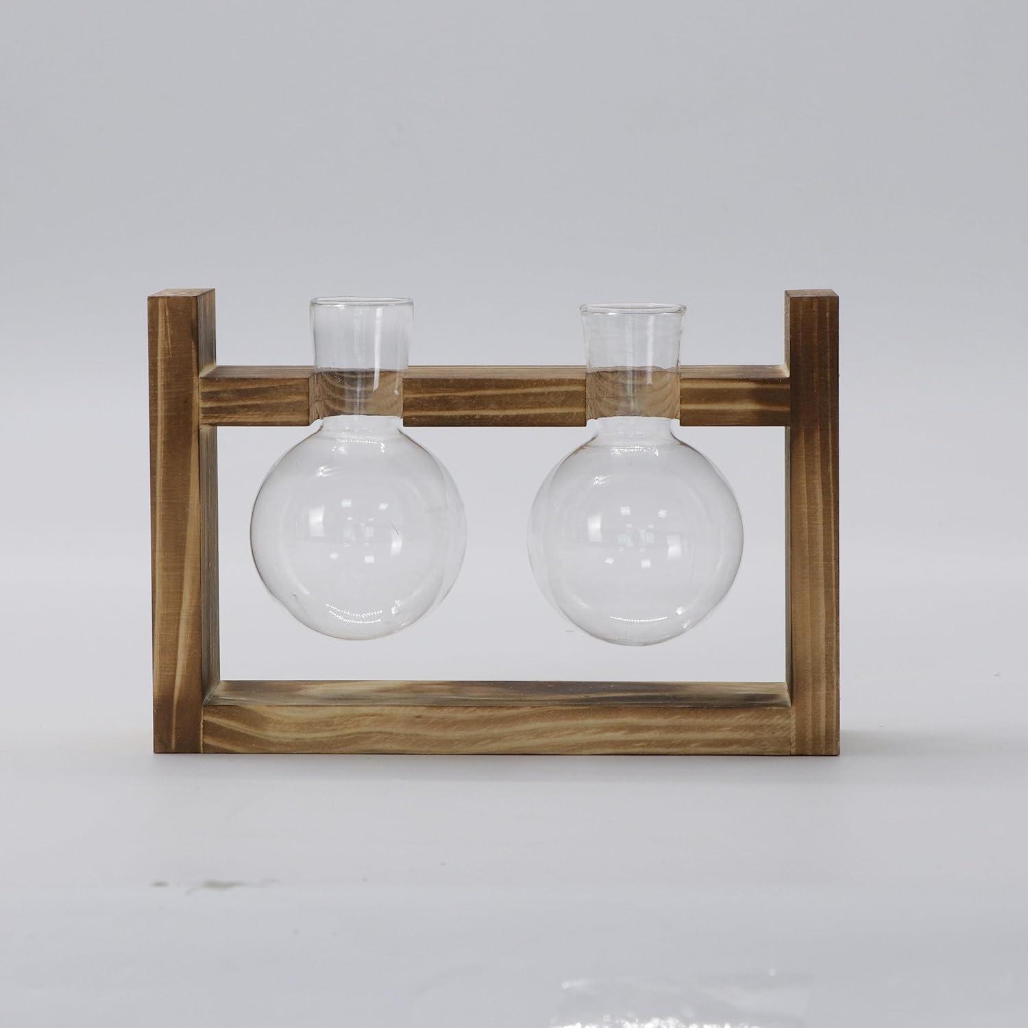 Vermehrungsstation Glasvase Avocado Terrarium Pflanzgefäß Holzregal