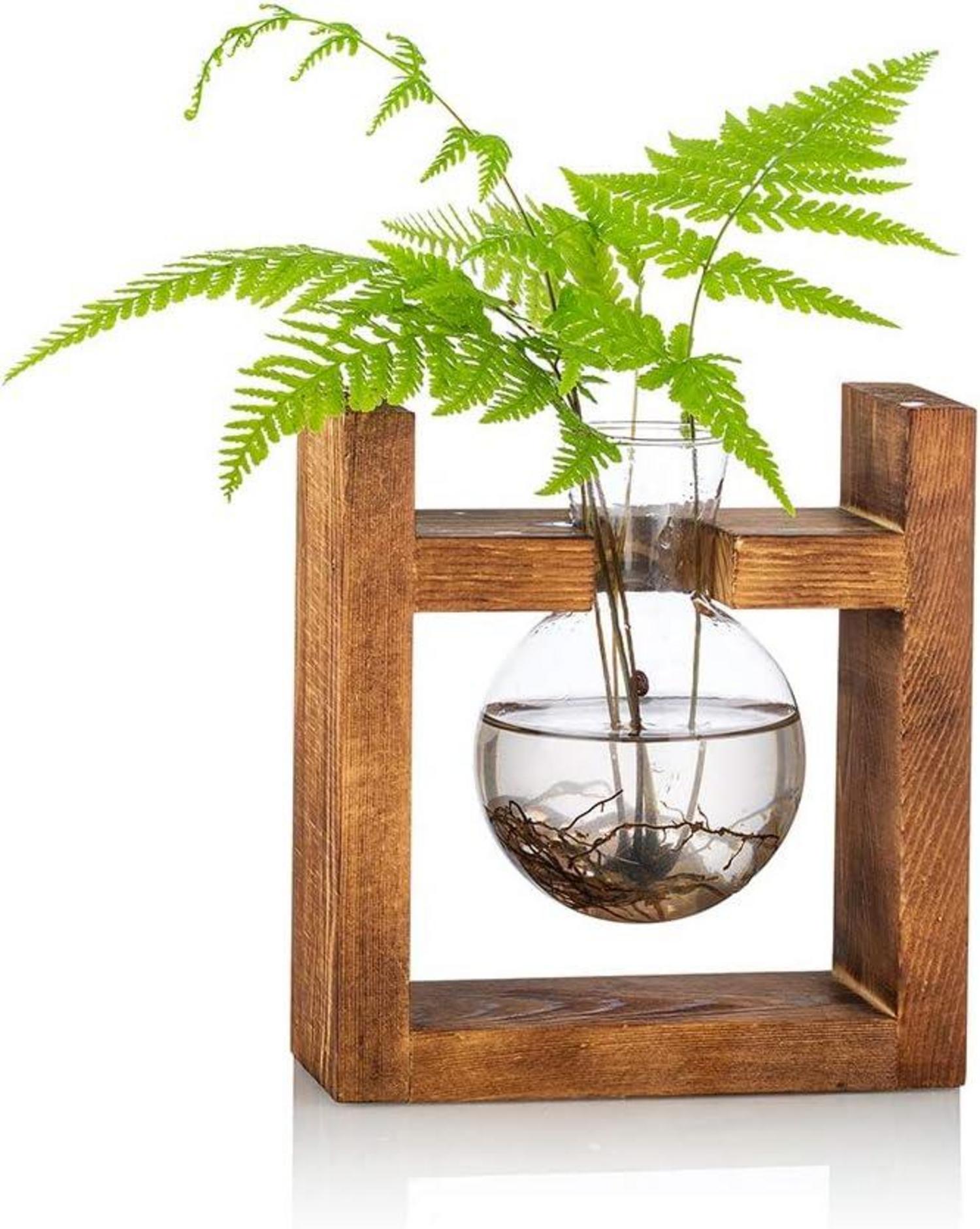 Glas Terrarium Pflanzgefäß Holzregal Glühbirne Avocado Vase