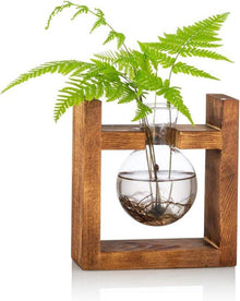 Glas Terrarium Pflanzgefäß Holzregal Glühbirne Avocado Vase