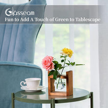 Avocado Glühbirne Glasvasen Terrarium Pflanzgefäß Holzregal