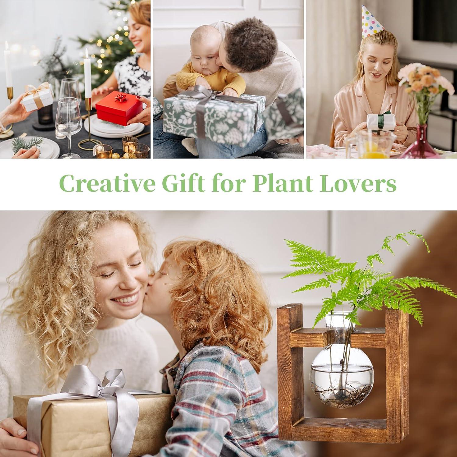 Avocado Vase Glas Terrarium für Blumen Pflanzgefäß Holzregal