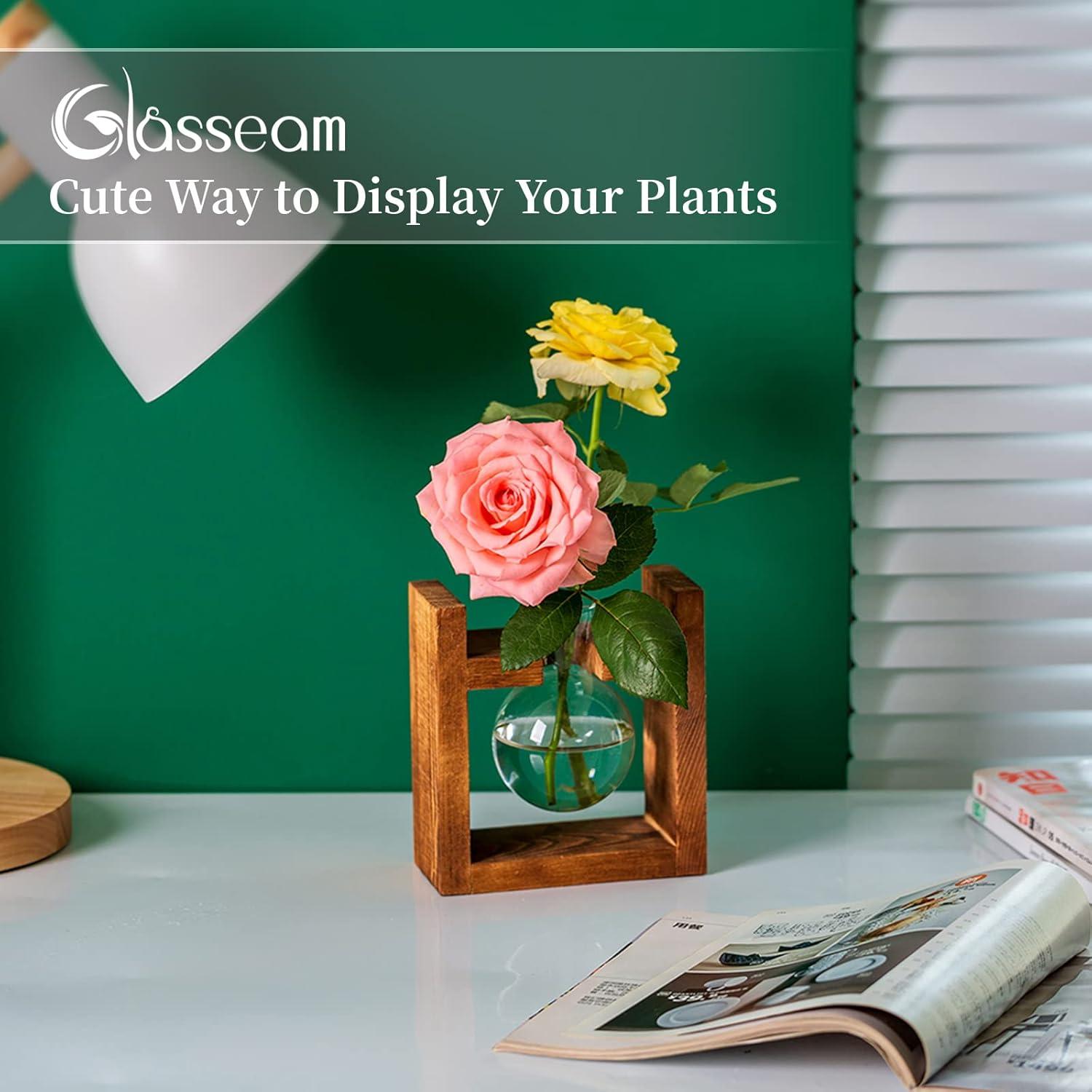 Avocado Vase Glas Terrarium für Blumen Pflanzgefäß Holzregal