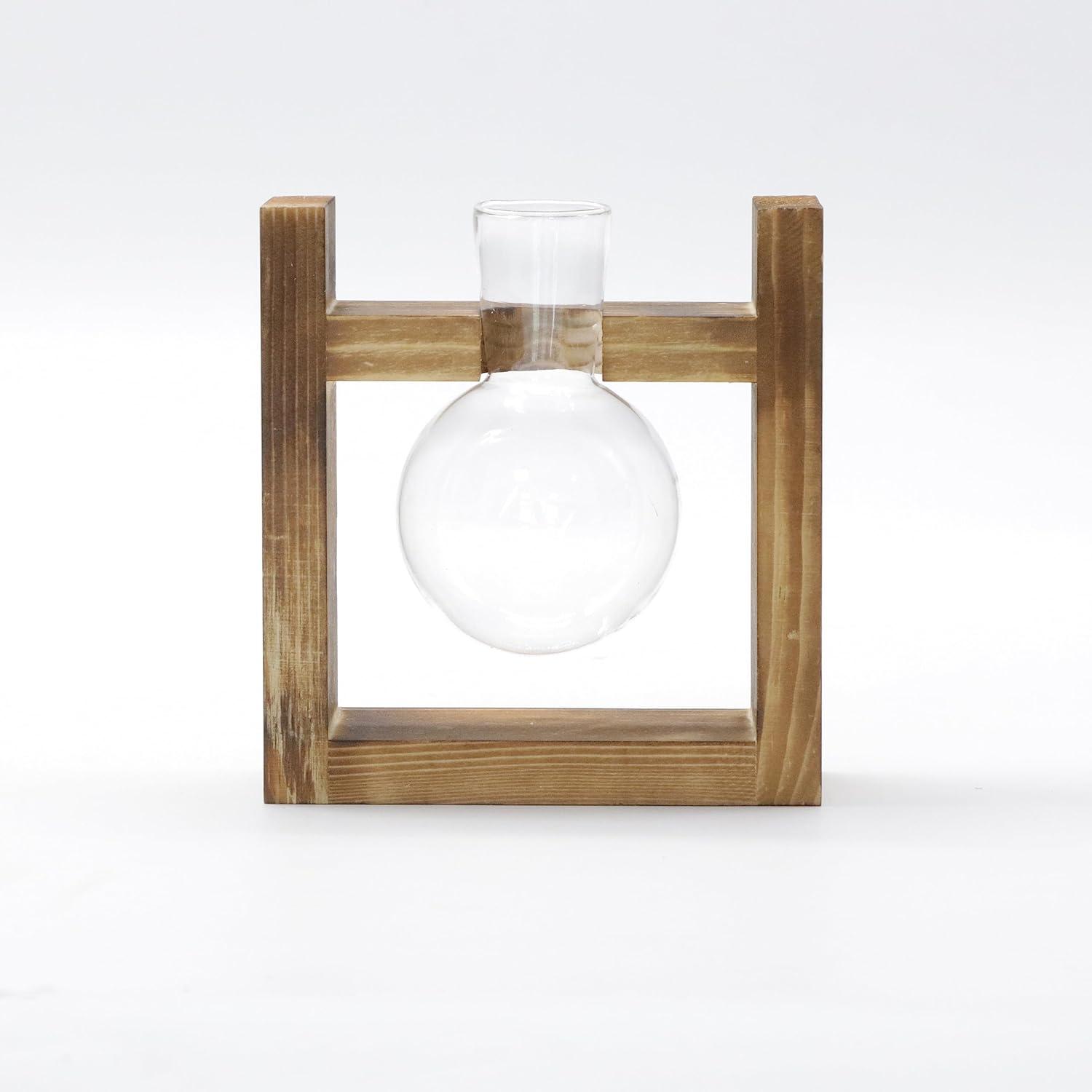 Vermehrungsstation Glühbirne Avocado Vase Terrarium Glas Holzregal