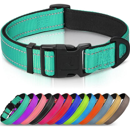 Hundehalsband Neopren Gepolstert Verstellbar Reflektierend Türkis