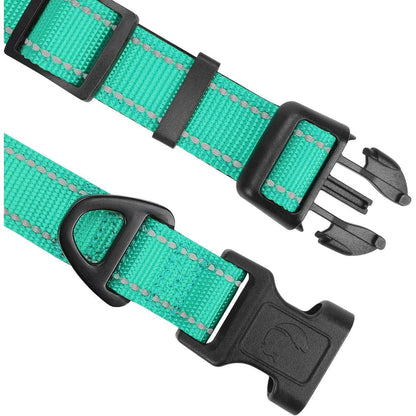 Hundehalsband Neopren Gepolstert Verstellbar Reflektierend Türkis