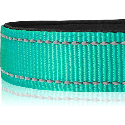 Hundehalsband Neopren Gepolstert Verstellbar Reflektierend Türkis