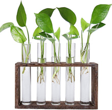 Jucoan Reagenzglas Vase 5 Rohr Hydrokultur Pflanzen Glas Holz Halter