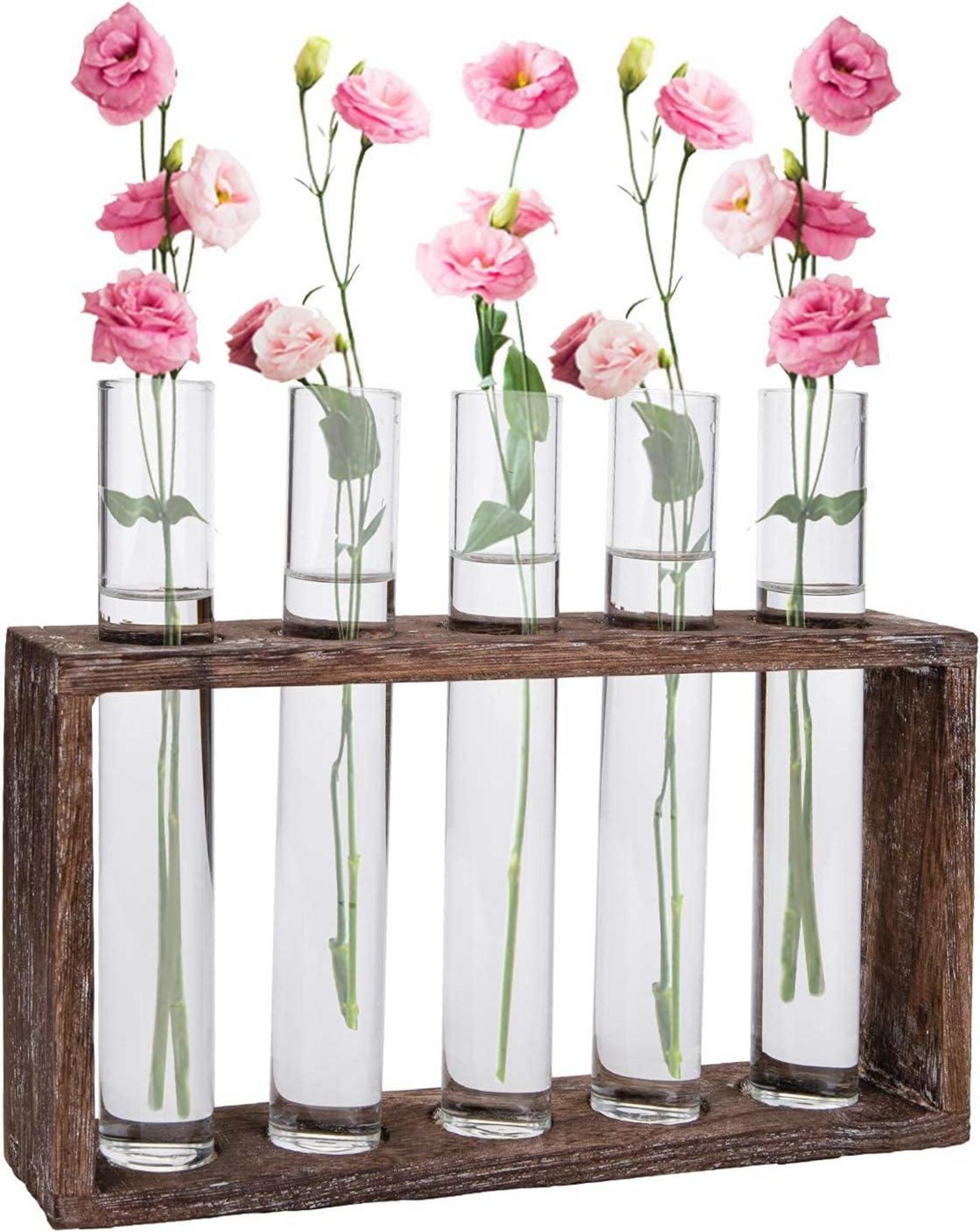 Jucoan Reagenzglas Vase 5 Rohr Hydrokultur Pflanzen Glas Holz Halter