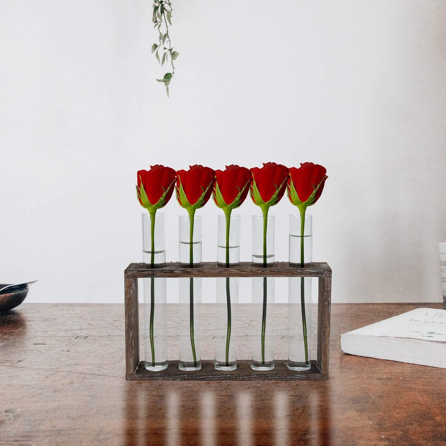 Hydroponik Reagenzglas Vase Holz Halter Terrarium Set