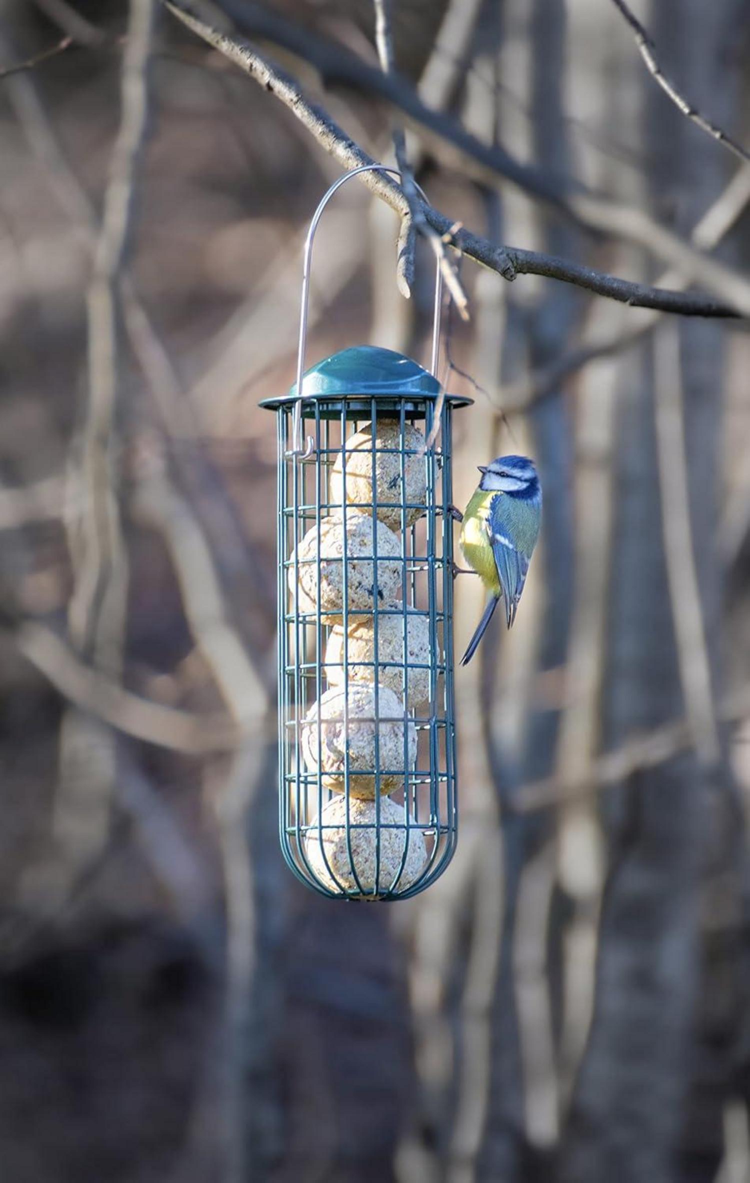 Meisenknödelhalter Metall Eisen Vogelfutterhaus zum Aufhängen 26cm