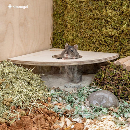 Niteangel Acryl Sandbadbox für Hamster und Mäuse