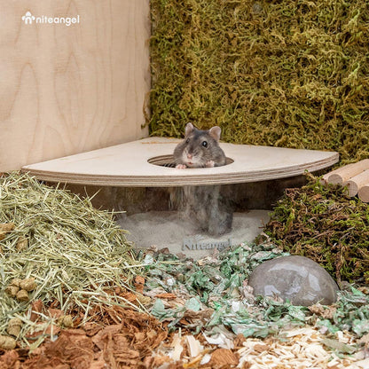 Niteangel Acryl Kleintier Sandbadbox Hamster Mäuse Gerbils Sandgruben Behälter