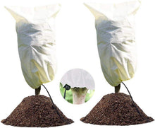 Winterschutz für Pflanzen 100x80cm, 2er Set Frostschutz Oleander
