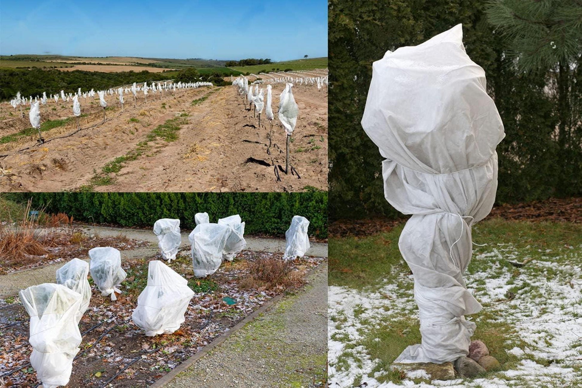 Winterschutz Pflanzen 2 Stück 100x80cm Frostschutz Draußen