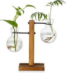 Vermehrungsstation Holzregal Vintage Avocado Glas Vasen Blumen Eichel