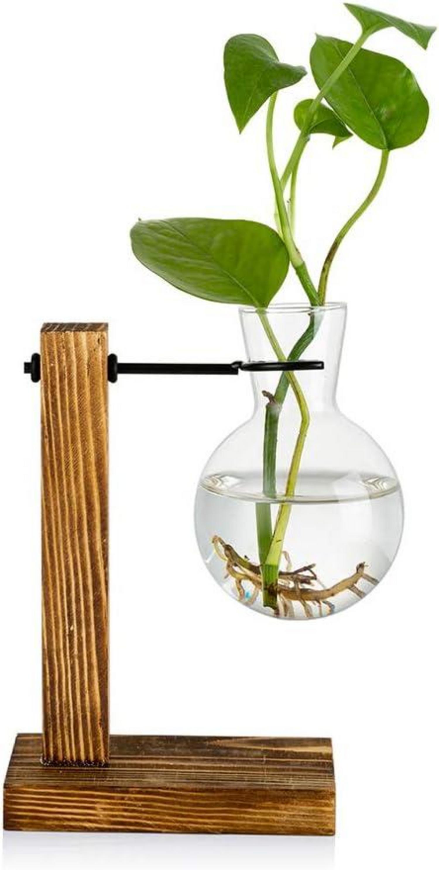 Vermehrungsstation Vintage Vase Glas Holzregal für Blumen Eicheln