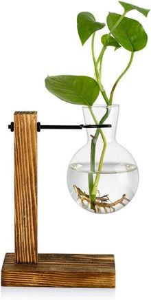 Vermehrungsstation Vintage Vase Glas Holzregal für Blumen Eicheln