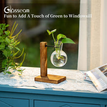 Vermehrungsstation Holzregal Vintage Vase Glas für Blumen