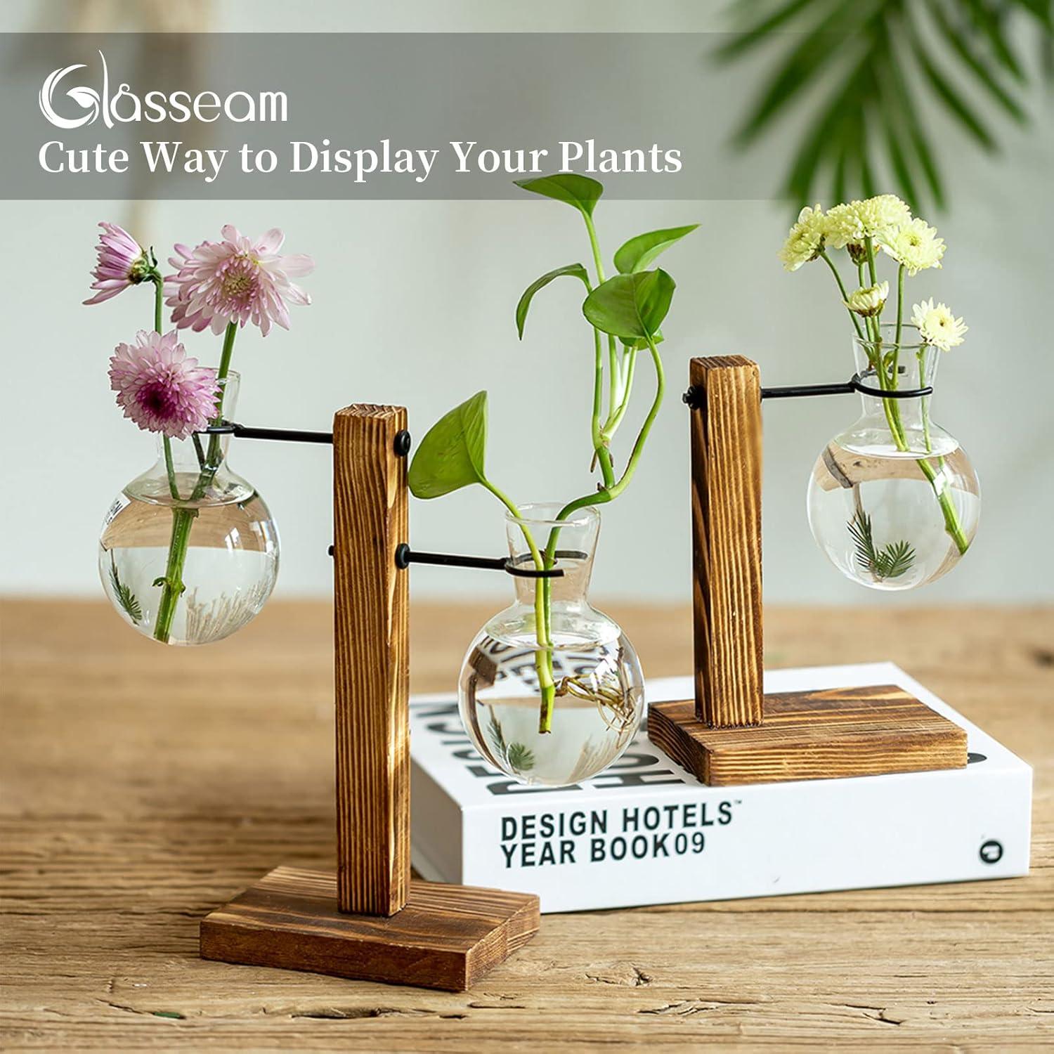Vermehrungsstation Holzregal Glühbirnenvase Vintage Glas Vasen Indoor Dekor