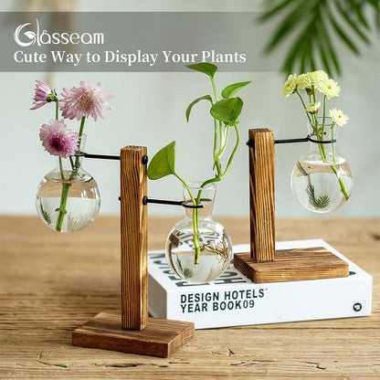 Vermehrungsstation Holzregal Glühbirnenvase Vintage Glas Vasen Indoor Dekor
