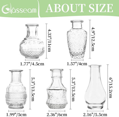 Glasvase Blumen 5er-Set Vintage Bud Mini-Erbsenvase Tischdekoration