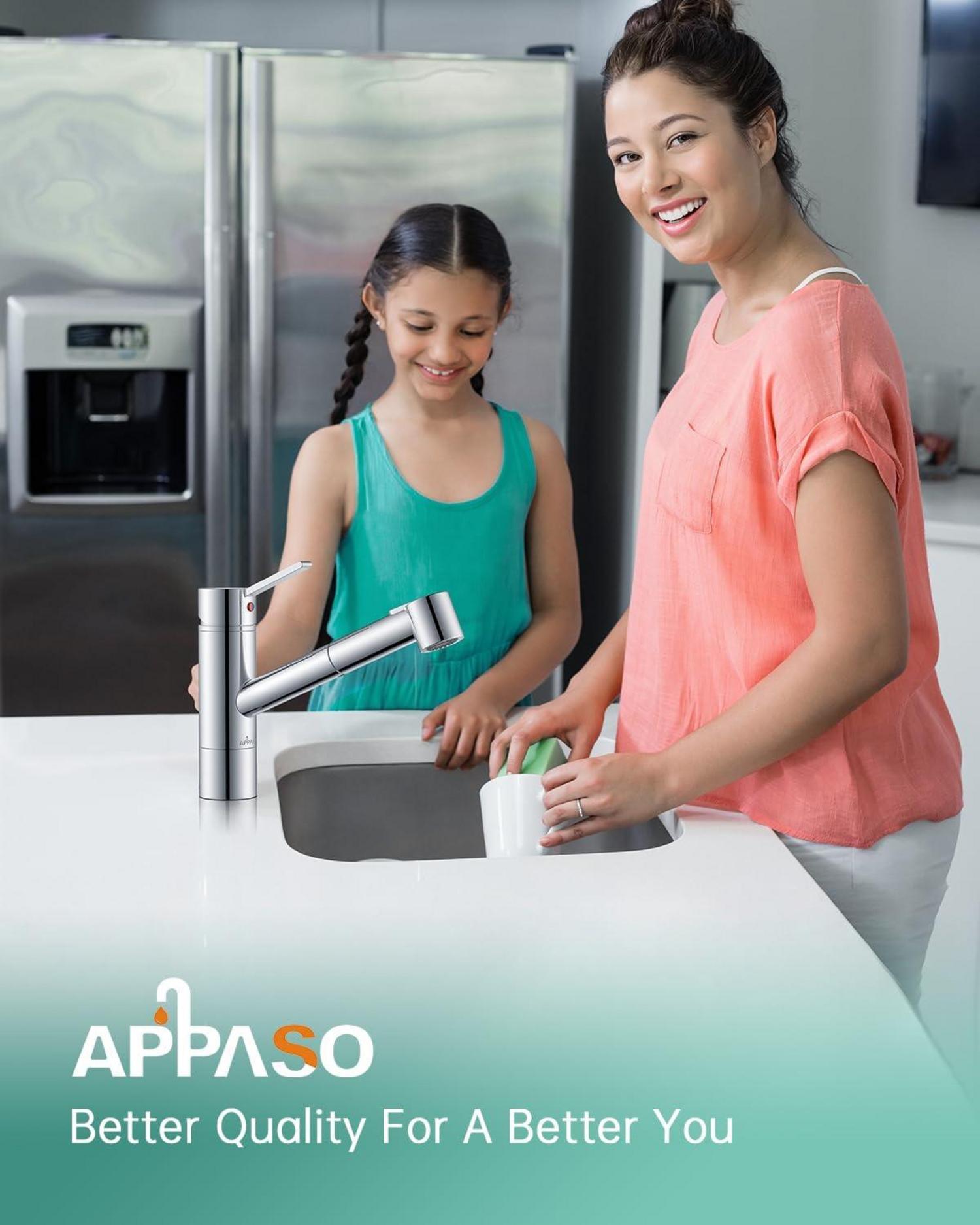 Moderne APPASO Küchenarmatur mit ausziehbarer Spülbrause chrom