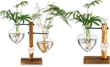 Moderne Herzglas-Hydroponikvase mit Holzständer 2er Set
