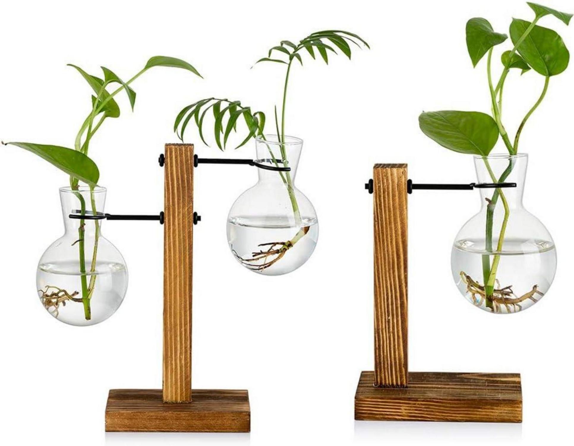 Moderne Glasknospenvase Mit Holzständer Hydroponikvasen - 2er Set