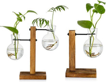 Moderne Glasknospenvase Mit Holzständer Hydroponikvasen - 2er Set