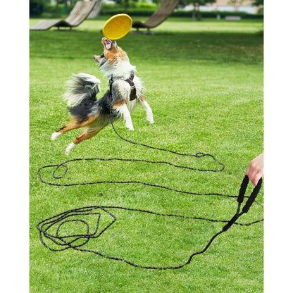 Schleppleine 10m für Hunde | Reflektierend | Gepolsterter Griff | 8mm Schwarz