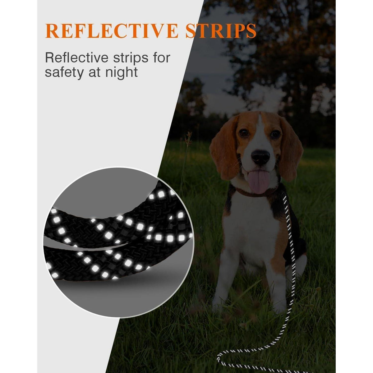 Schleppleine 10m für Hunde | Reflektierend | Gepolsterter Griff | 8mm Schwarz