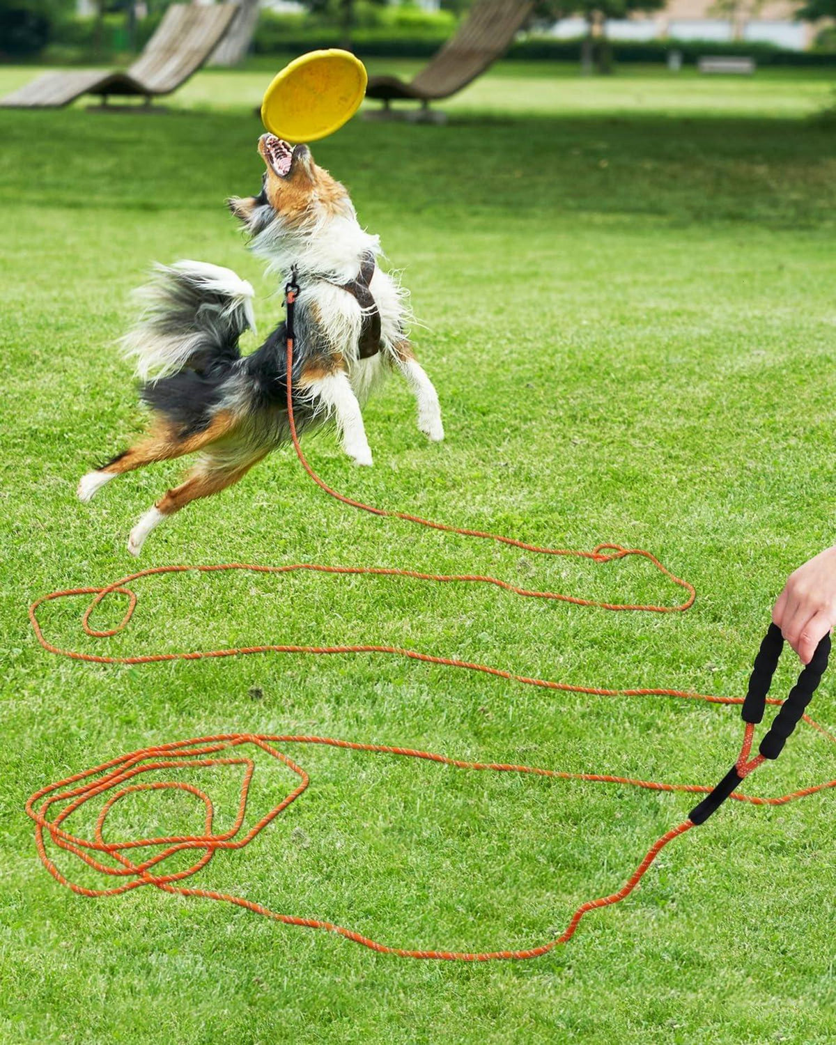 Taglory Schleppleine 10m für Hunde | Nylon Reflektierend
