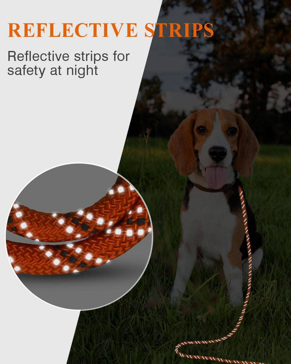 Taglory Hundeleine 10m Reflektierend Gepolsterter Griff Orange 8mm
