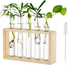 Moderne Tischplatte Glas Pflanzer mit 5 Reagenzgläsern in Holzständer