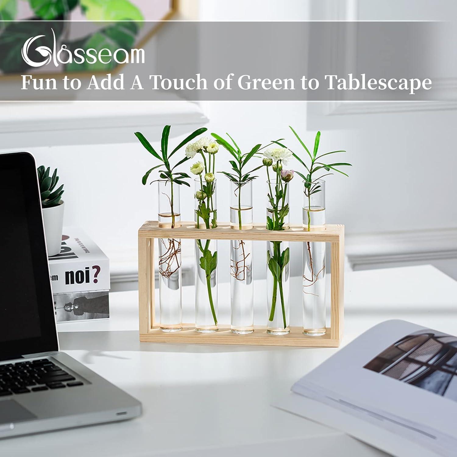 Moderne Tischplatte Glas Pflanzer mit 5 Reagenzgläsern in Holzständer