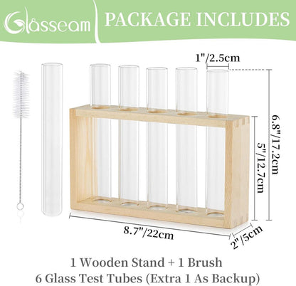Tischplatte Glas Pflanzer Hydroponik Reagenzglas Vase Holz Stand