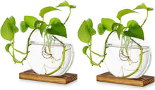Tischplatte Glas Pflanzer 2er Set Hydroponik Blumen Vase Holz