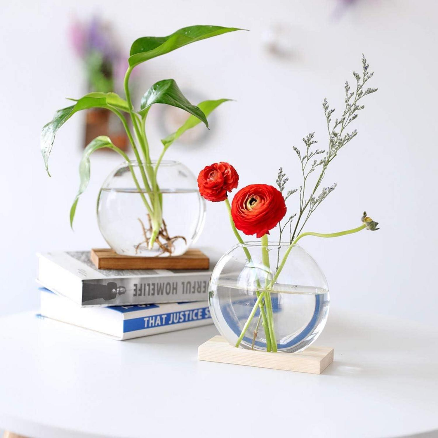 Moderne Hydroponik Glas Pflanzer Set 2 Holzständer Vase