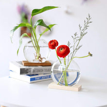 Moderne Hydroponik Glas Pflanzer Set 2 Holzständer Vase
